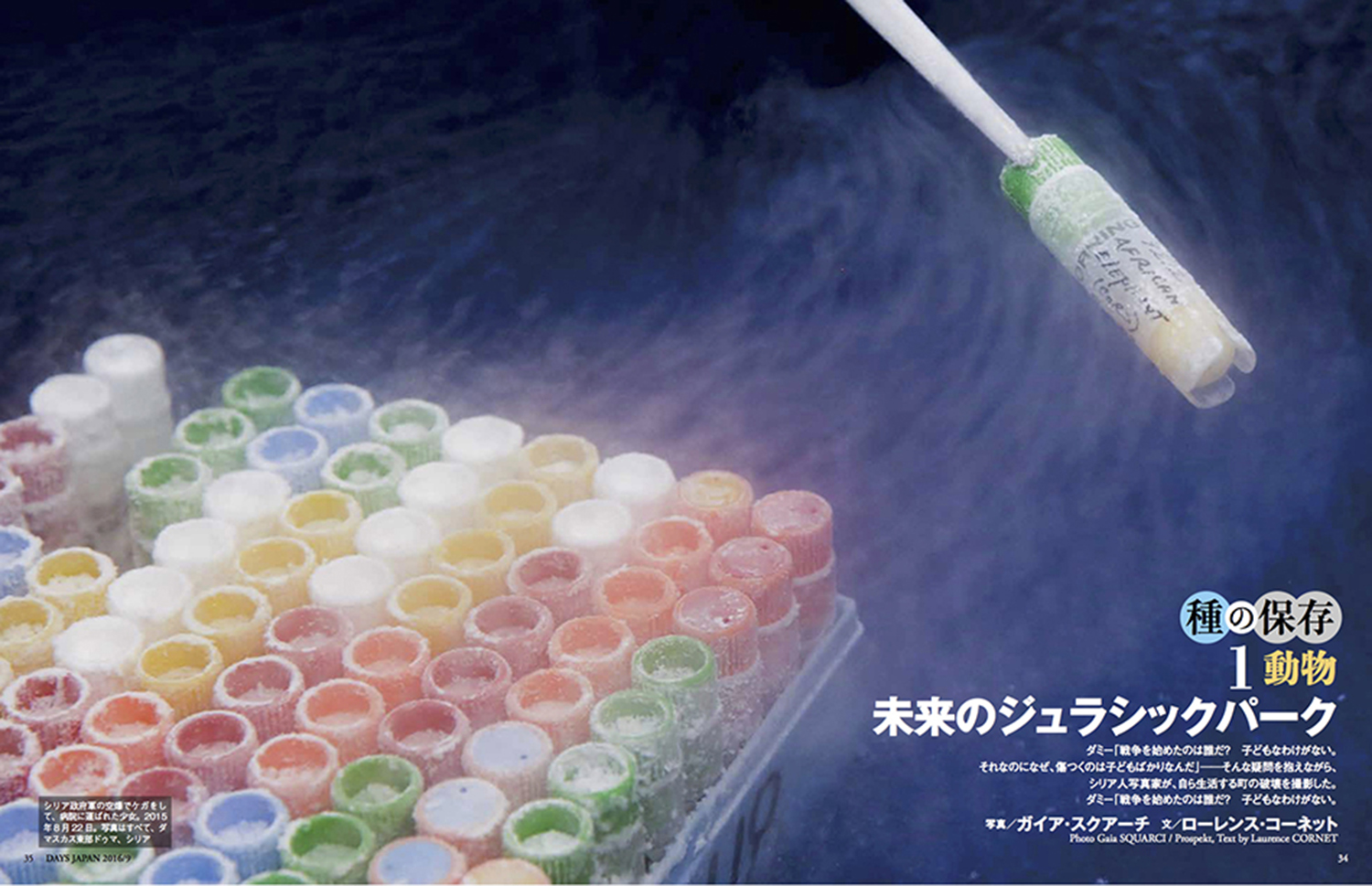 P34−37-1-all_low