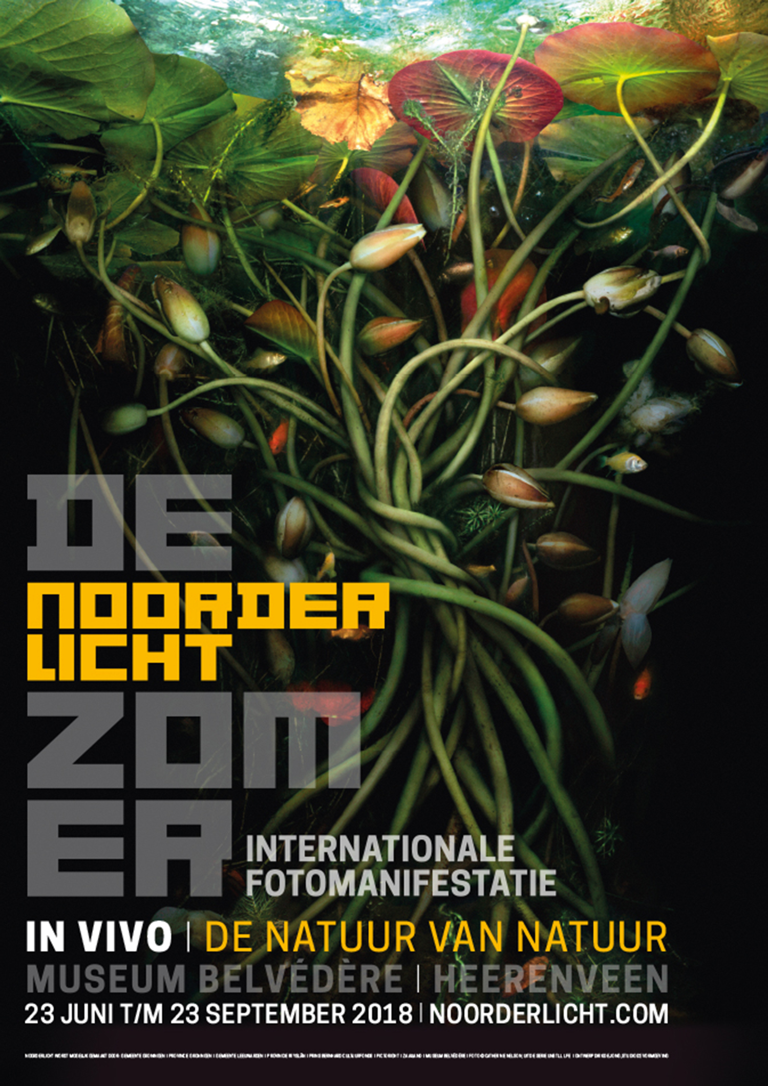 posterNL_A2_2018