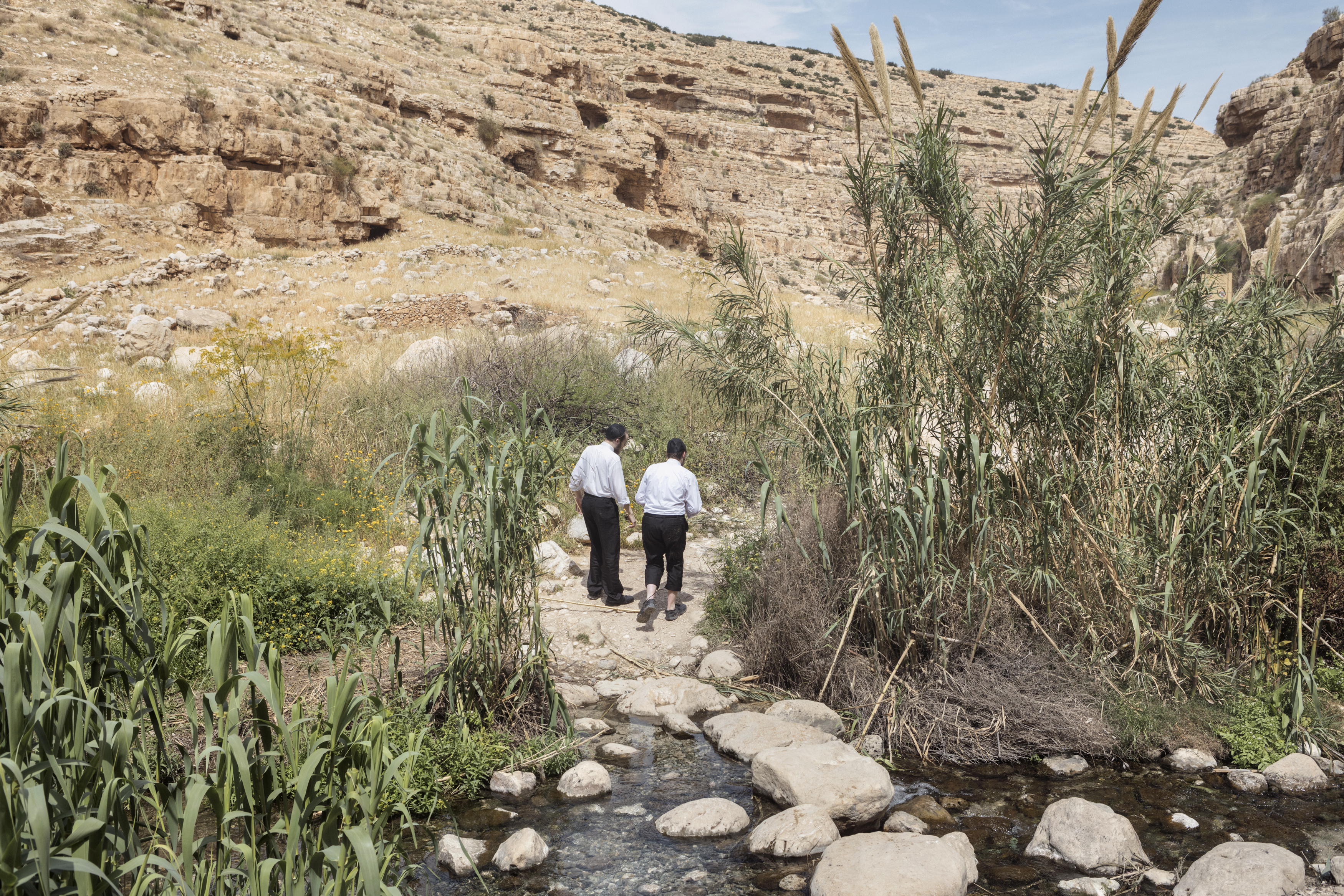038_Israeli-settlements_MAP_8655 Wadi Qelt, West Bank, 2017. Ultra-Orthodox Jews having a walk in the Ein Prat Nature Reserve.