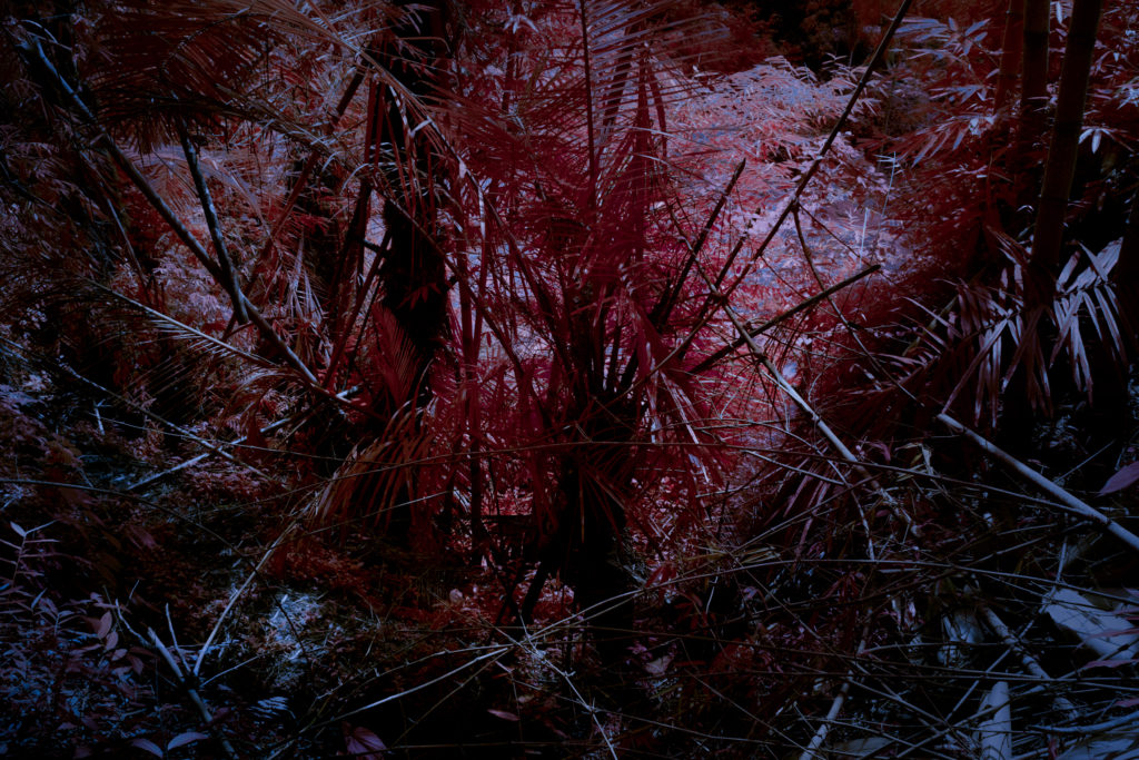 The Red that Remains-22