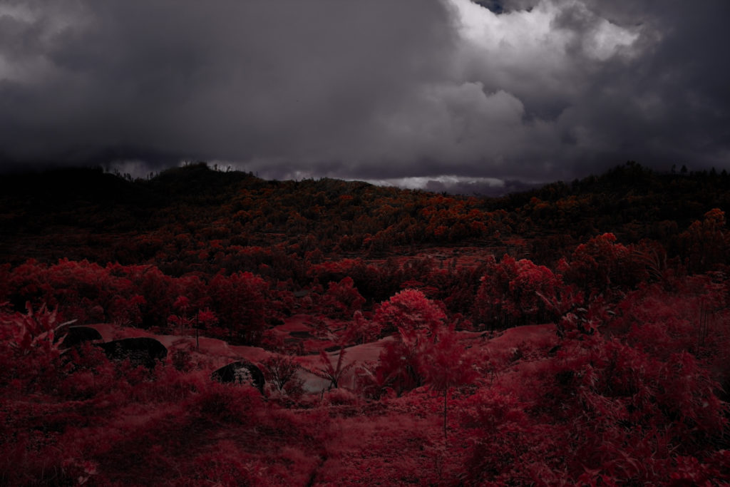 The Red that Remains-9